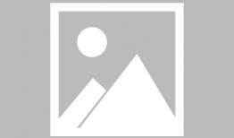 女主娱乐圈低调吃瓜的小说,娱乐圈低调吃瓜日常